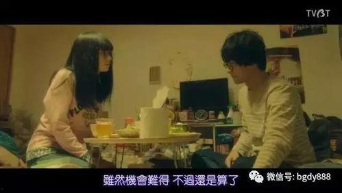 日本2016最新电影,光影交织，情感共鸣