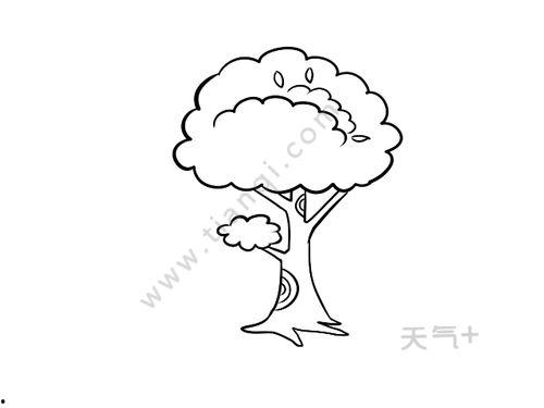 大树图片大全简笔画,自然之美，一笔勾勒