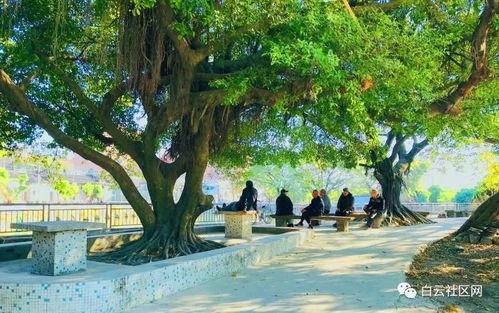日本夏村,传统与现代交融的夏日风情