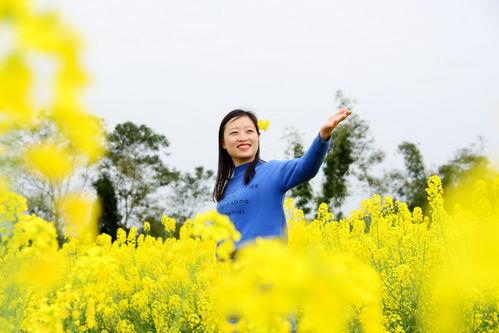 油菜花香在线观看,在线赏花之旅，感受田园诗意