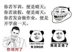 搞笑图片,快来感受欢乐时刻