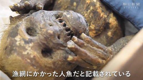 木乃伊日本,揭秘木乃伊日本的神秘面纱