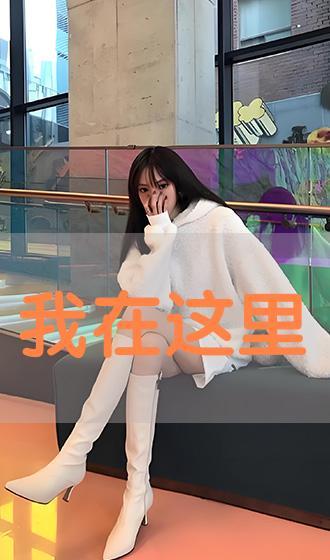 女犬在线观看,揭秘网络世界中的萌宠魅力