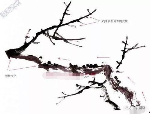 梅花画法视频,一招一式，尽展国花风韵
