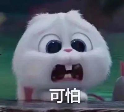 沈阳吃瓜爆料事件真相揭秘,真相大白，揭秘背后真相