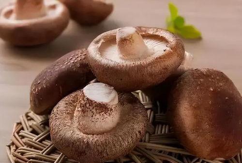 吃瓜网曝揭秘黑料蘑菇入口,蘑菇入口背后的惊人真相