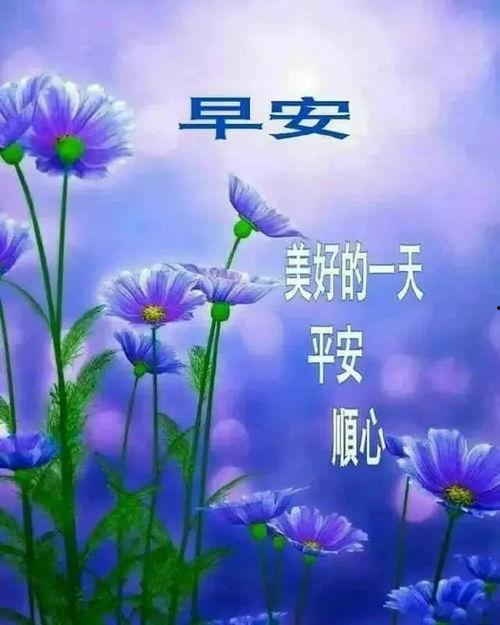 早安美图图片带字,早安美图带字，唤醒美好心情