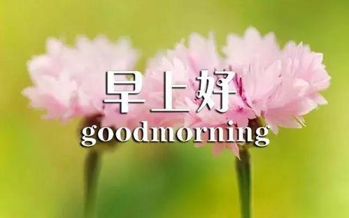 早安美图图片带字,早安美图带字，唤醒美好心情