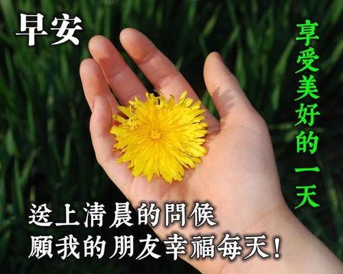 早安美图图片带字,早安美图带字，唤醒美好心情