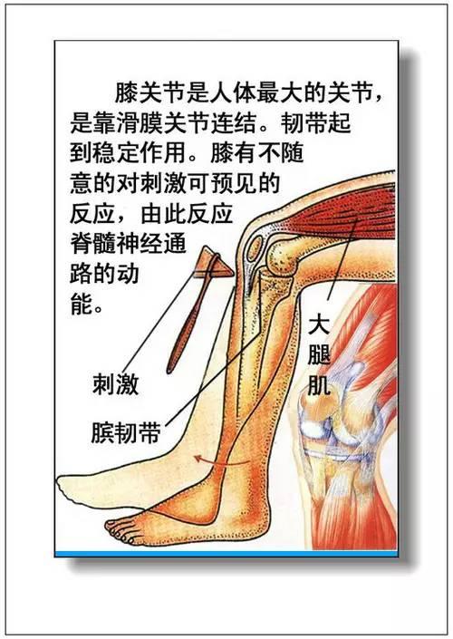 人体37图片大全,揭秘人体奥秘