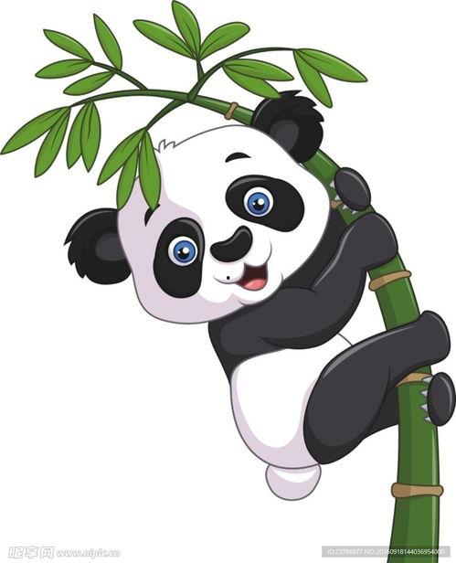 画熊猫图片,大自然的珍稀使者