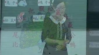 比的教学视频,深入浅出解析比例概念与运用技巧