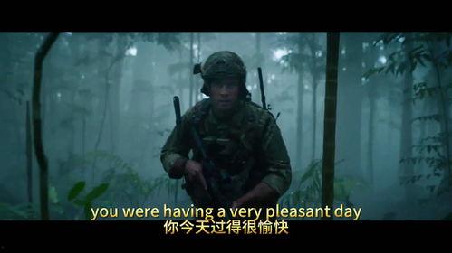 美国战争大片国语版,美国战争大片国语版震撼来袭