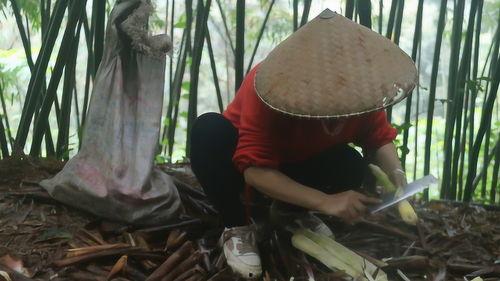 挖竹笋视频,视频教学带你轻松上手