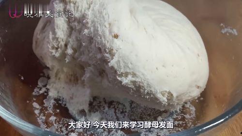 发面的视频,轻松掌握发面技巧