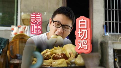 鸡肉视频,解锁家常烹饪新技巧