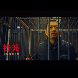 真相 在线观看,在线观看背后的故事与启示