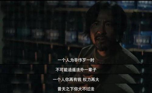 真相 在线观看,在线观看背后的故事与启示