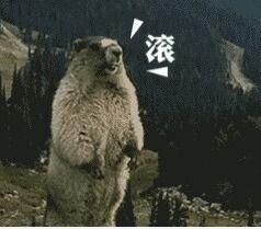 咆哮表情包图片大全,盘点热门咆哮表情包图片大全
