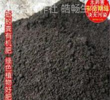 蚯蚓粪图片,自然界的神奇肥料