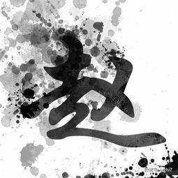 姓氏图片大全,千姿百态，探寻中华姓氏文化之美