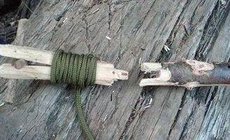 捕鱼工具图片大全,图片大全中的捕鱼工具解析