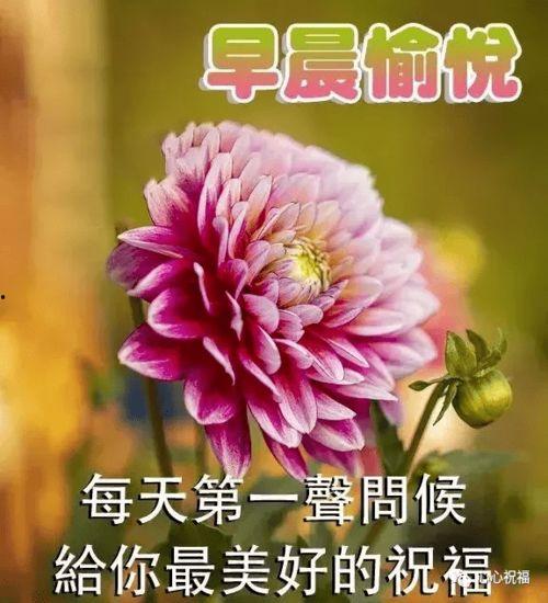 亲们早上好图片大全,早上好！精选图片大全，开启美好一天