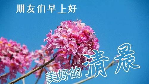 亲们早上好图片大全,早上好！精选图片大全，开启美好一天