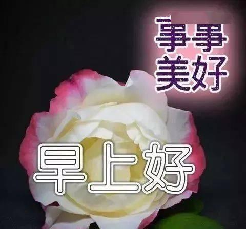 亲们早上好图片大全,早上好！精选图片大全，开启美好一天