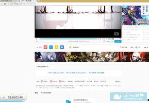 下载b站视频,下载与观看的完美融合