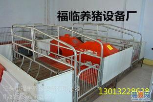 母猪产床视频,揭秘高效养殖新视角