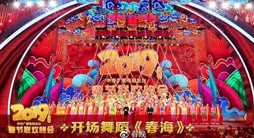 春晚视频,欢声笑语，共度佳节