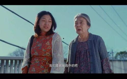 日本豆瓣高分电影,揭秘日本豆瓣高分电影背后的故事