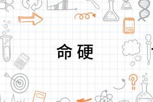 命硬 国语,坚韧不拔的人生篇章