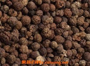 草寇图片,揭秘古代绿林好汉的传奇生涯