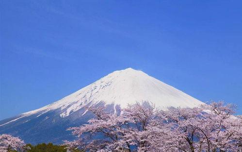 日本谁最大,揭秘谁在日本政治中占据最高地位