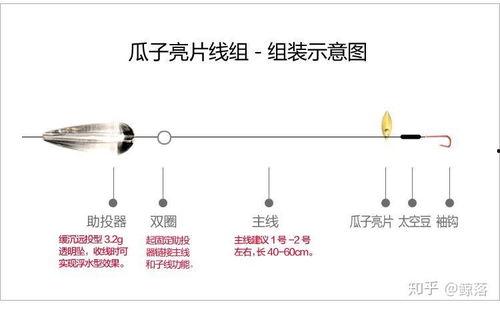 路亚钓白条视频,视频教学带你轻松上钩