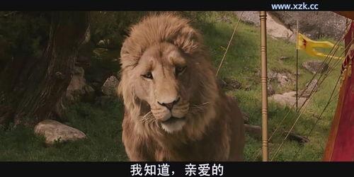 纳尼亚传奇1 国语版,魔境之旅，勇敢的狮子与孩子们的奇幻冒险