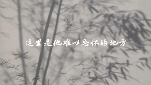 粉墙视频,探寻传统建筑之美