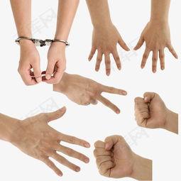 人手的图片,探寻人体最灵活器官的奥秘