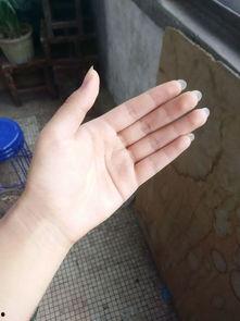 人手的图片,探寻人体最灵活器官的奥秘