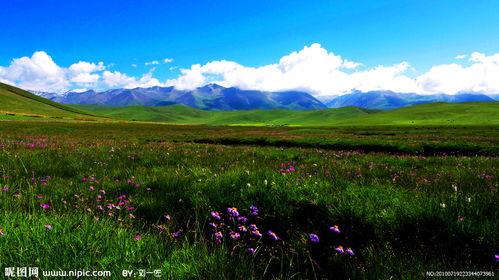 莫尼山国语,探寻神秘自然与民族文化的交融之地