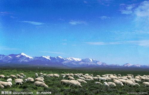 莫尼山国语,探寻神秘自然与民族文化的交融之地