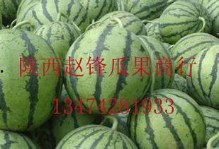 今日北海哈密瓜价格行情,今日市场新鲜出炉