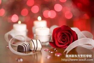 七夕牵手唯美图片,浪漫永恒的瞬间