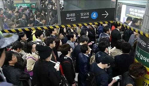 在韩国一年,文化之旅与生活体验