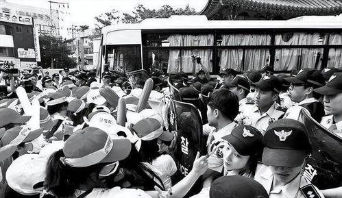 在韩国一年,文化之旅与生活体验