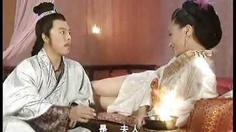 吕不韦张铁林床戏,张铁林床戏背后的历史风云