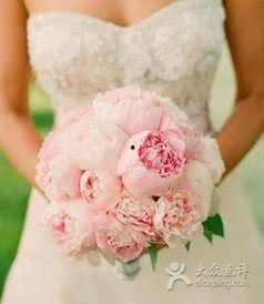 花捧图片,绽放的瞬间，永恒的回忆