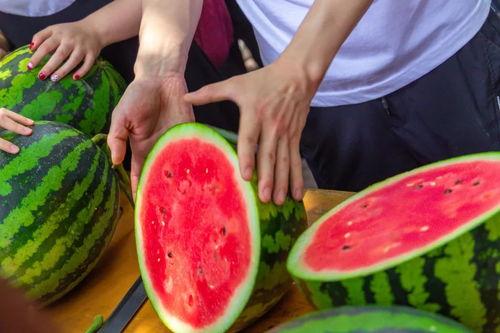 51吃瓜视频今日吃瓜校园吃瓜,今日校园吃瓜大揭秘